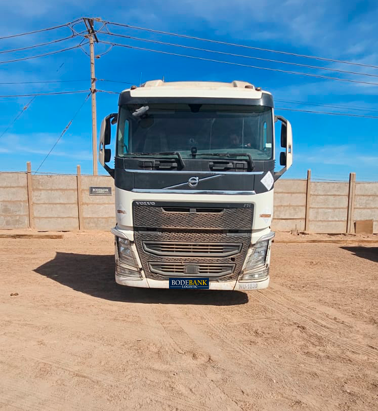 CAMIÓN VOLVO FH AÑO 2022